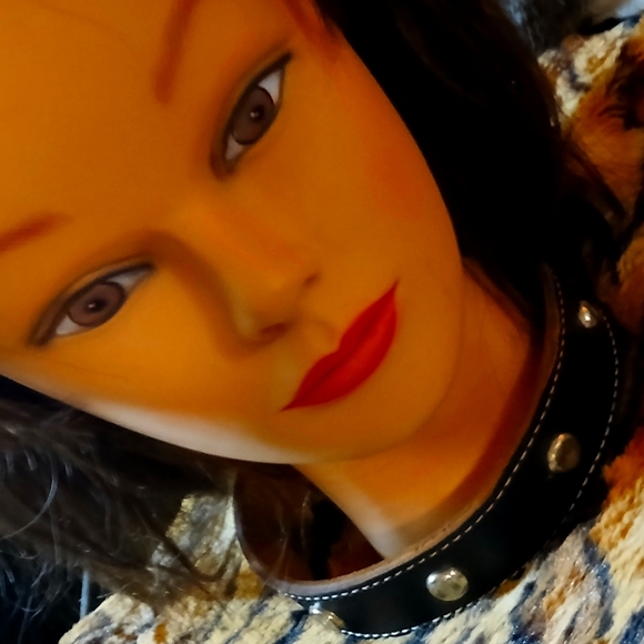 Dog collar - Picture 1 of 5